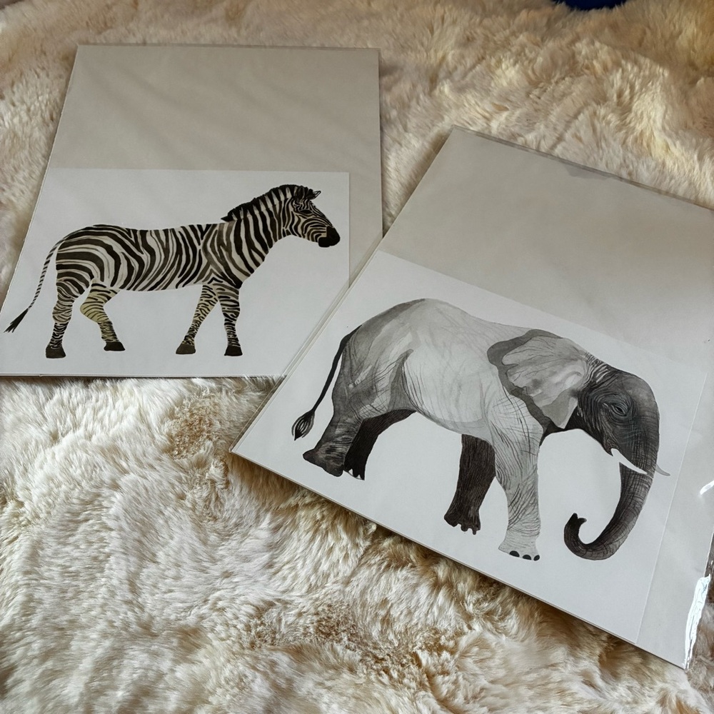 Zebra and Elephant Art Prints Land of Nod Crate & Barrel 8x10 kids baby